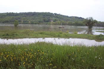 En aval du confluent du Bec d'Allier, les deux rivires se mlangent aprs quelques Kilomtres